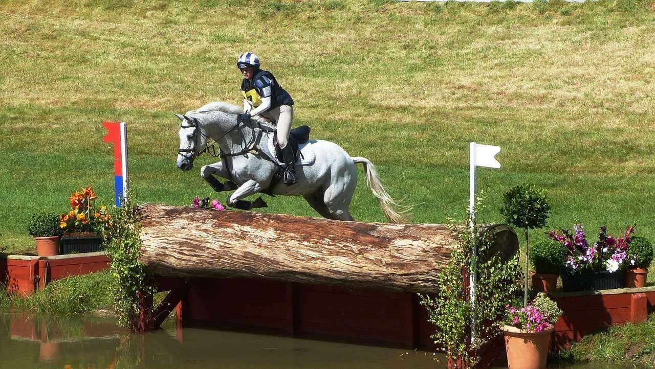 Paard overleden Olympische Spelen